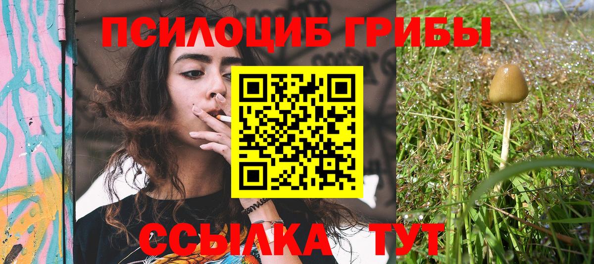 Псилоцибиновые грибы MAGIC MUSHROOMS  Галлюциногенные грибы Magic Shrooms  Рассказово  Вход с VPN 